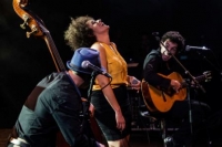 leïla and the koalas